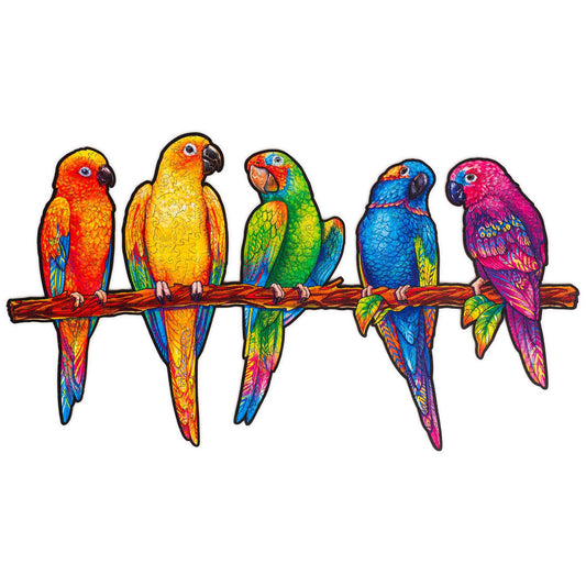 Cheerful Flock: Parrots Variety Pack